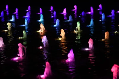 DSC_1695 (Large).JPG